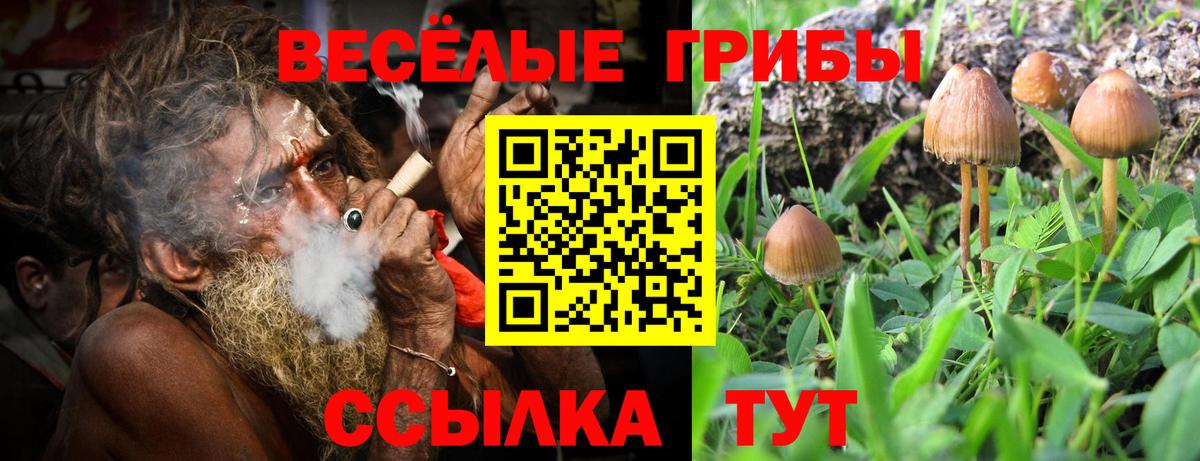 Лесосибирск  Галлюциногенные грибы MAGIC MUSHROOMS  Вход с VPN 